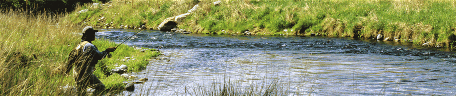 Angler on Armstrong Spring Creek