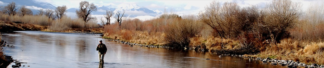 On Armstrong Spring creek